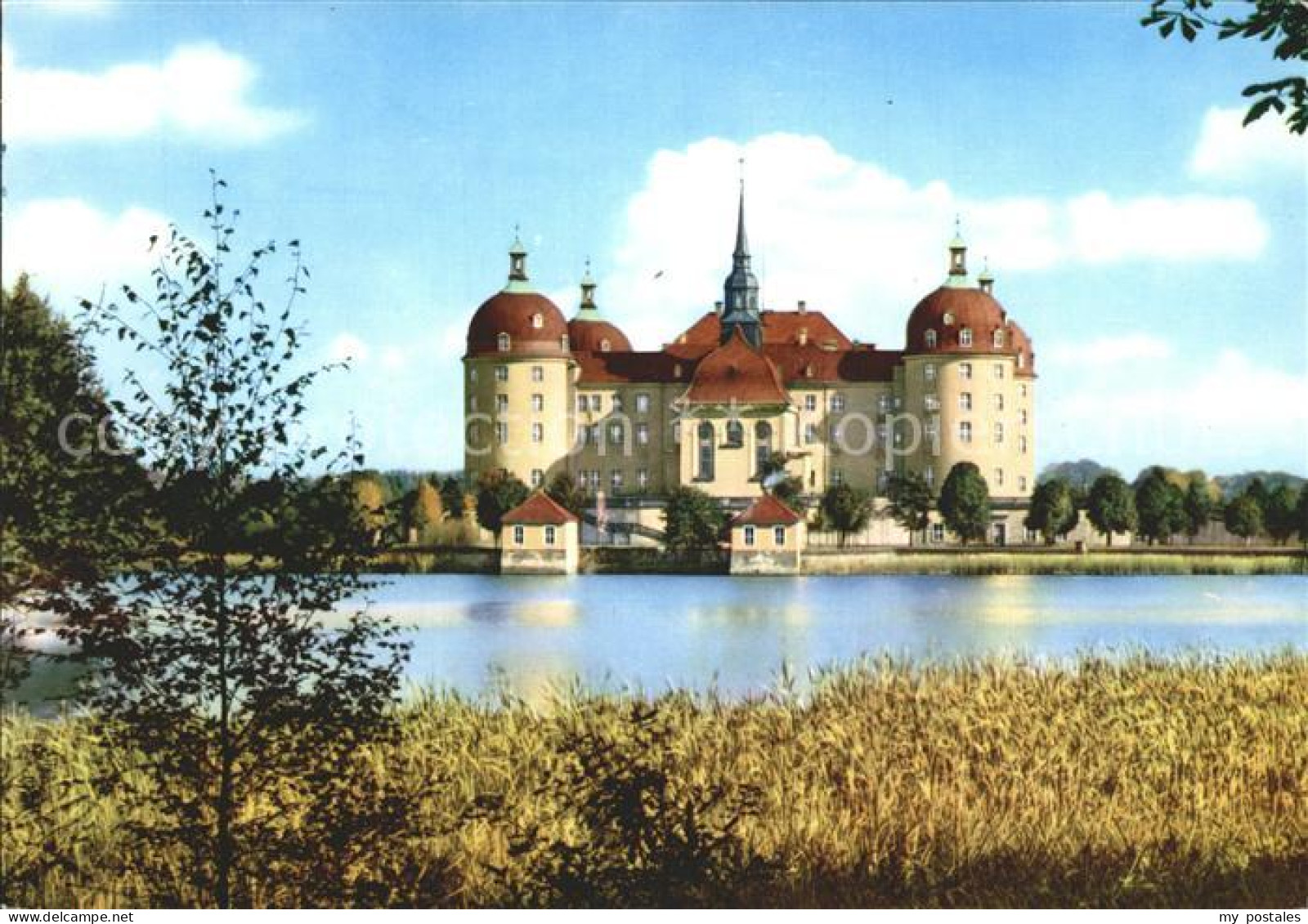 72324152 Moritzburg Sachsen Schloss Moritzburg Moritzburg - Moritzburg