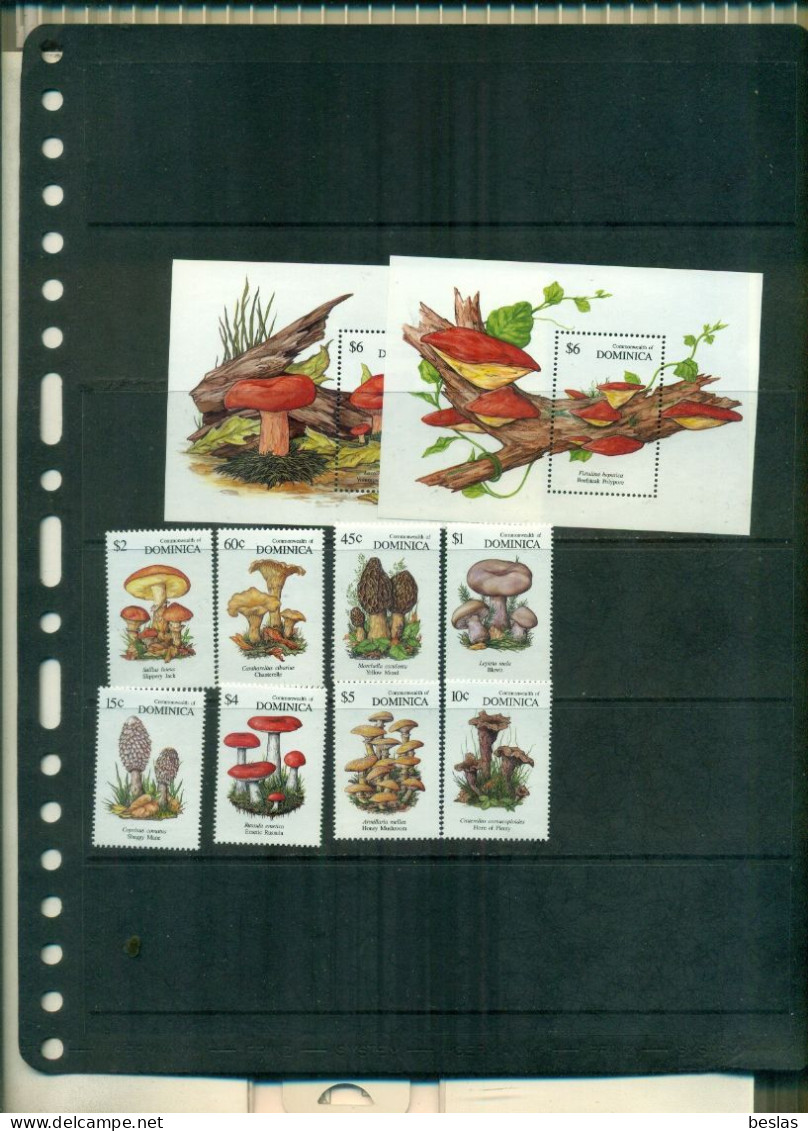 DOMINICA  CHAMPIGNONS 8 VAL + 2 BF NEUFS A PARTIR DE 4,25 EUROS - Dominica (1978-...)