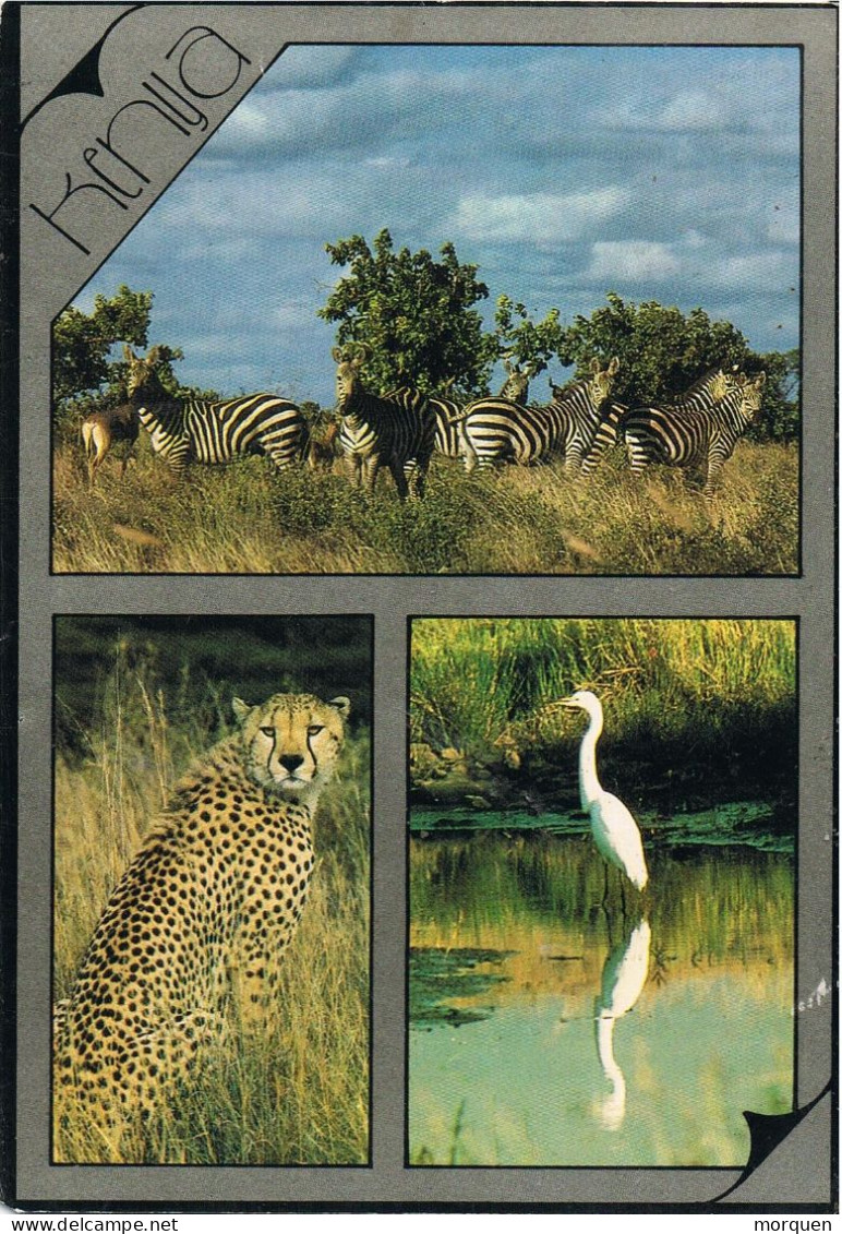 54357. Postal Aerea BARINGO (Kenya) 1986. Fechador De NAIROBI, Fauna Scenes. Leopardo, Cebra - Kenia (1963-...)