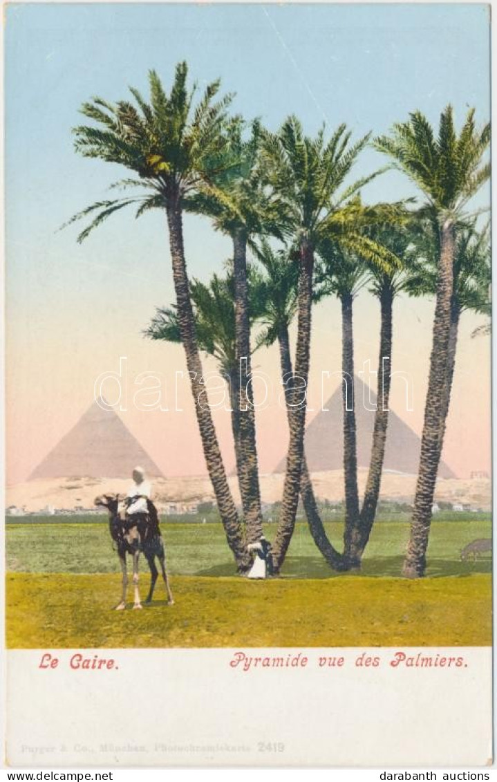 ** T1/T2 Cairo, Pyramid, Palms - Non Classés