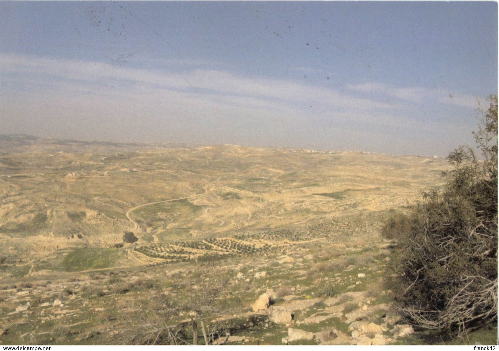 La Vallée Du Jourdain Côté Jordanie. Carte Moderne - Jordania