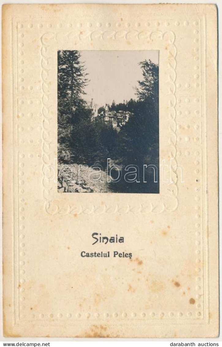 T3 1951 Sinaia, Castelul Peles / Castle. Photo (fl) - Ohne Zuordnung