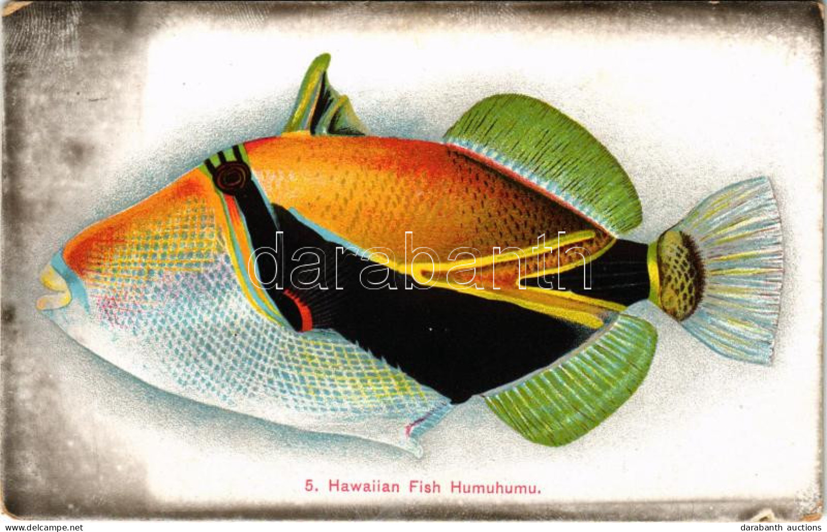 * T2/T3 Hawaiian Fish Humuhumu (ragasztónyom / Glue Mark) - Ohne Zuordnung