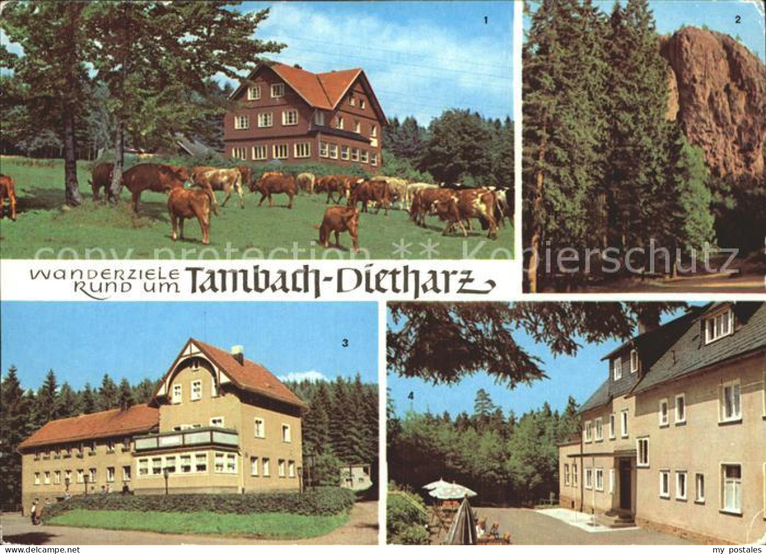 72322972 Tambach-Dietharz Berghotel Ebertswiese Falkenstein Rodebachmuehle Waldb - Tambach-Dietharz