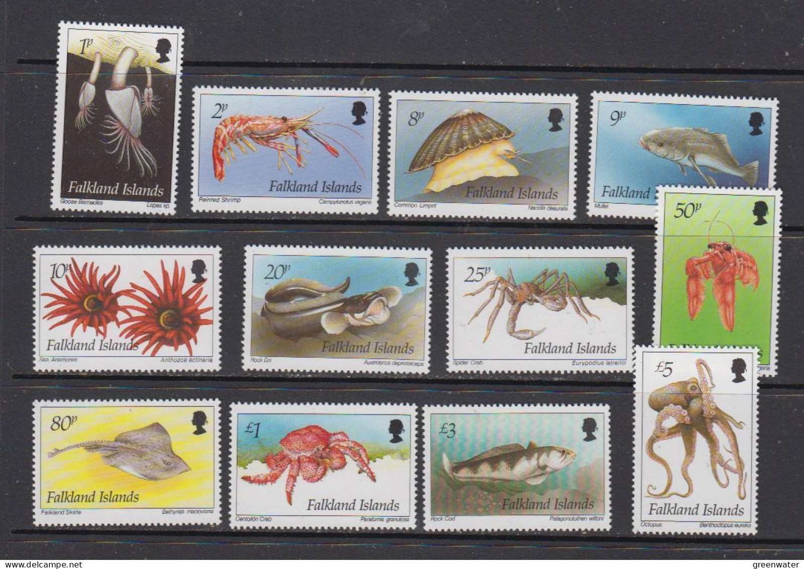 Falkland Islands 1994 Definitives / Inshore Marine Life 12v ** Mnh (Z0170) - Falkland Islands