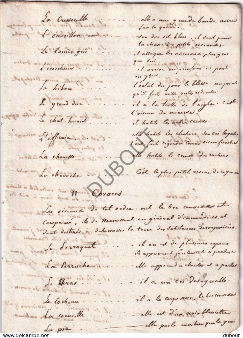 Manuscript ±1810 - Notes Sur L'histoire Naturelle (V3025) - Manuscrits