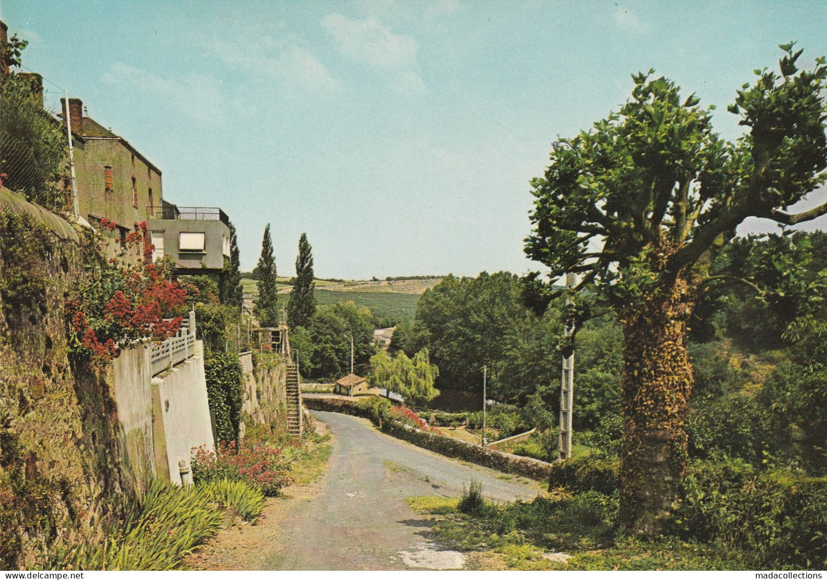 Argenton Chateau (79 - Deux-Sèvres ) Multivues - Argenton Chateau