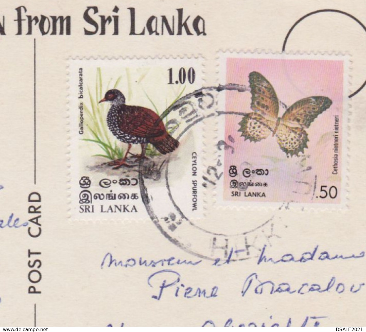SRI LANKA Traditional Scene Perahera-The Festival Of The Tooth RPPc 1980 W/Topic Stamps Bird, Butterfly To Bulgaria /703 - Sri Lanka (Ceylon) (1948-...)