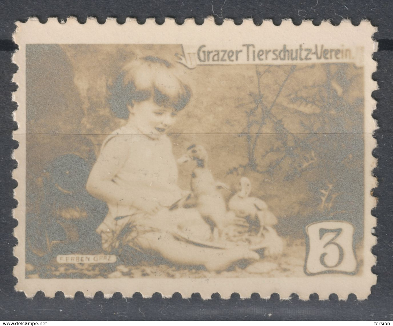 DUCK Bird Birds GIRL BABY / ANIMAL PROTECTION Graz Austria 1910 Charity LABEL CINDERELLA VIGNETTE Tierschutz Verein - Eenden