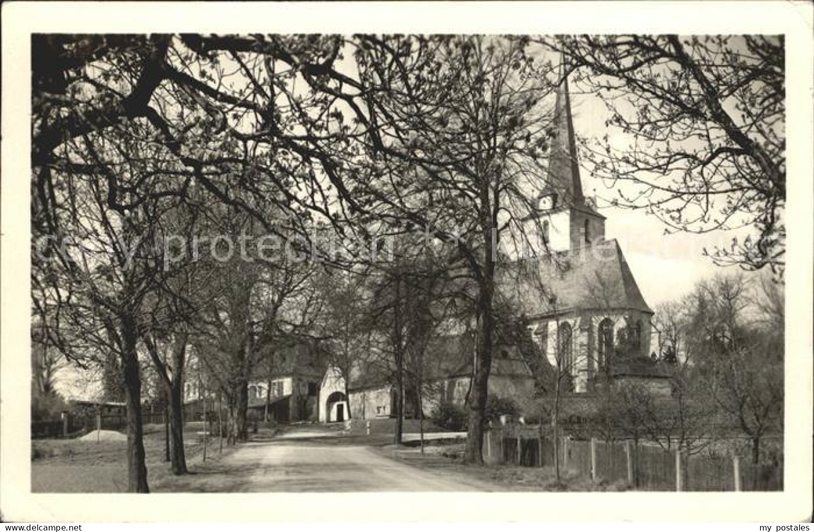 72317525 Schleiz Kirchenpartie Schleiz - Schleiz