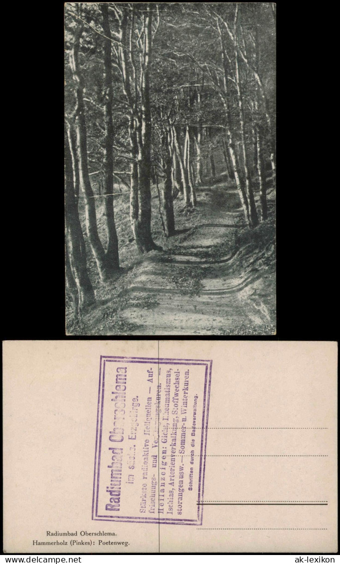 Ansichtskarte Oberschlema-Bad Schlema Hammerholz Pinkes Poetenweg. 1913 - Bad Schlema