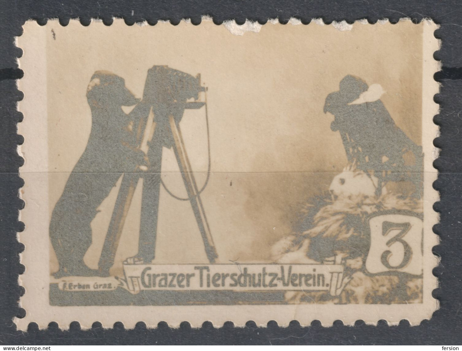 DOG Dachshund PHOTO CAMERA Rabbit / ANIMAL PROTECTION Graz Austria 1910 LABEL CINDERELLA VIGNETTE Tierschutz Verein - Fotografie