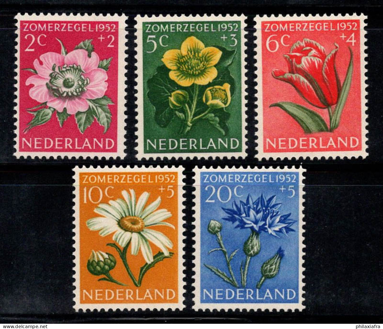 Pays-Bas 1952 Mi. 588-592 Neuf ** 100% Fleurs, Flore - Ongebruikt