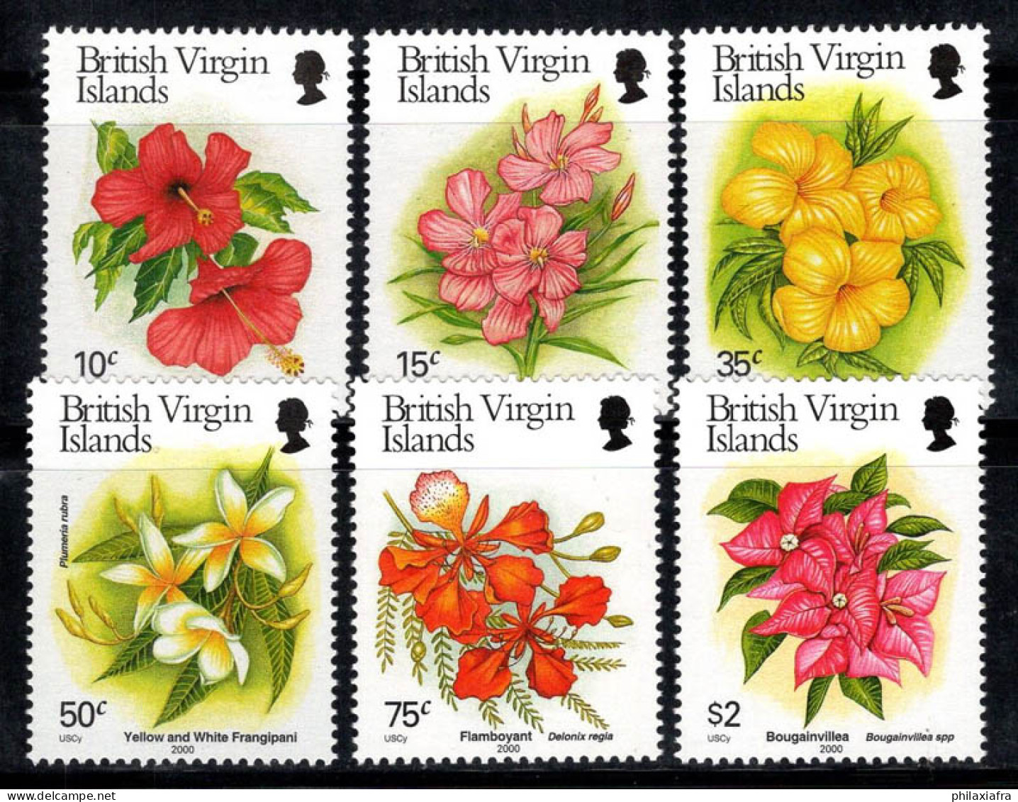 Îles Vierges Britanniques 2000 Mi. 999-1004 Neuf ** 100% Fleurs, Flore - British Virgin Islands