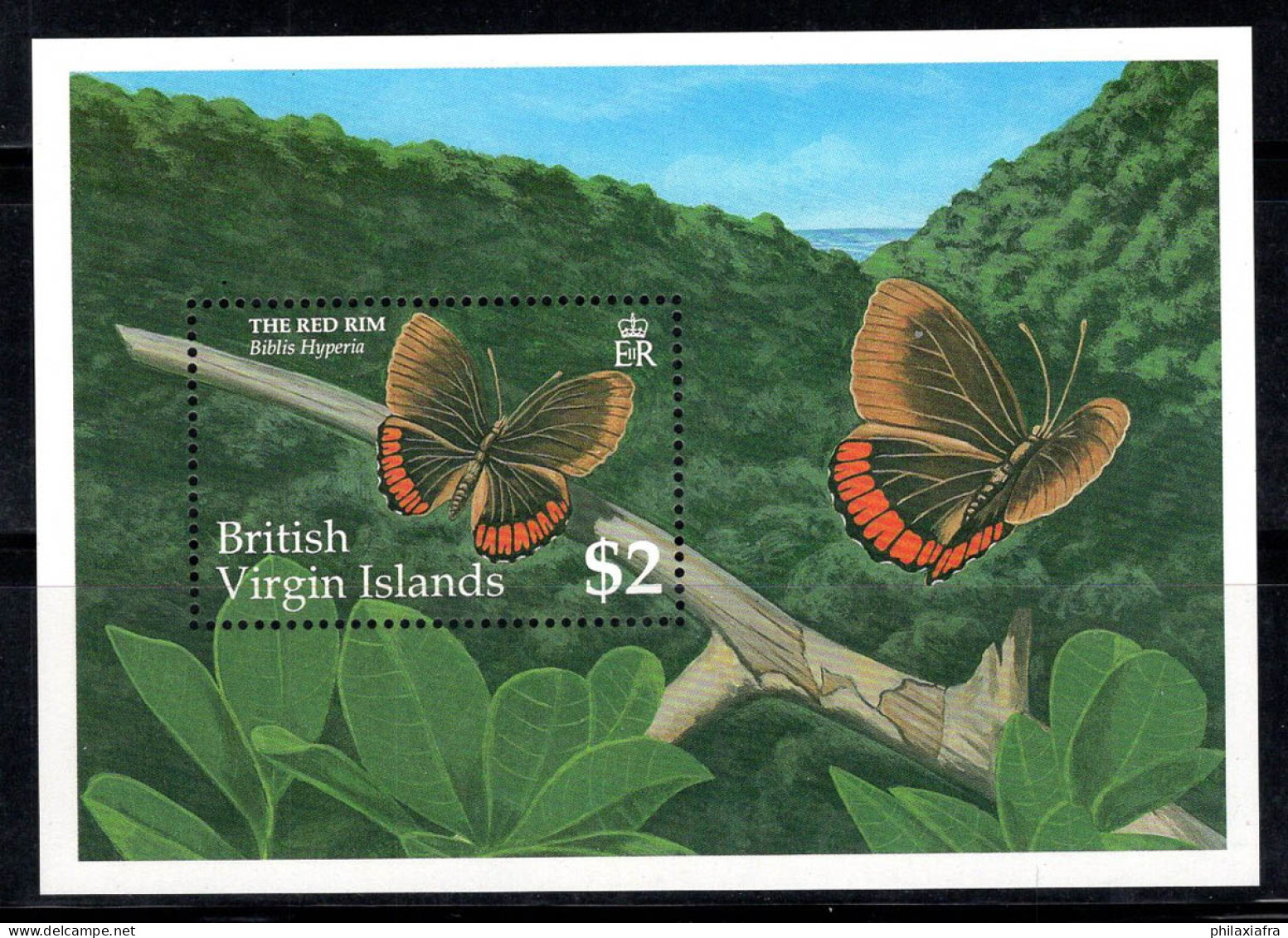 Îles Vierges Britanniques 1991 Bloc Feuillet 100% Neuf ** 2 $, Papillons, - Britse Maagdeneilanden