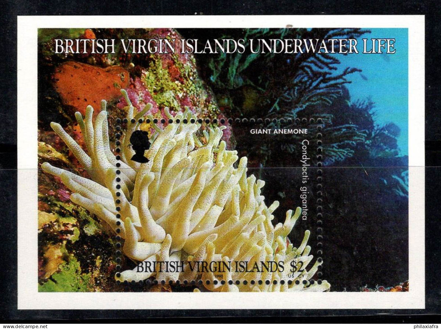 Îles Vierges Britanniques 1998 Mi. Bl. 95 Bloc Feuillet 100% Neuf ** Animaux Marins, Corail, 2 $ - British Virgin Islands