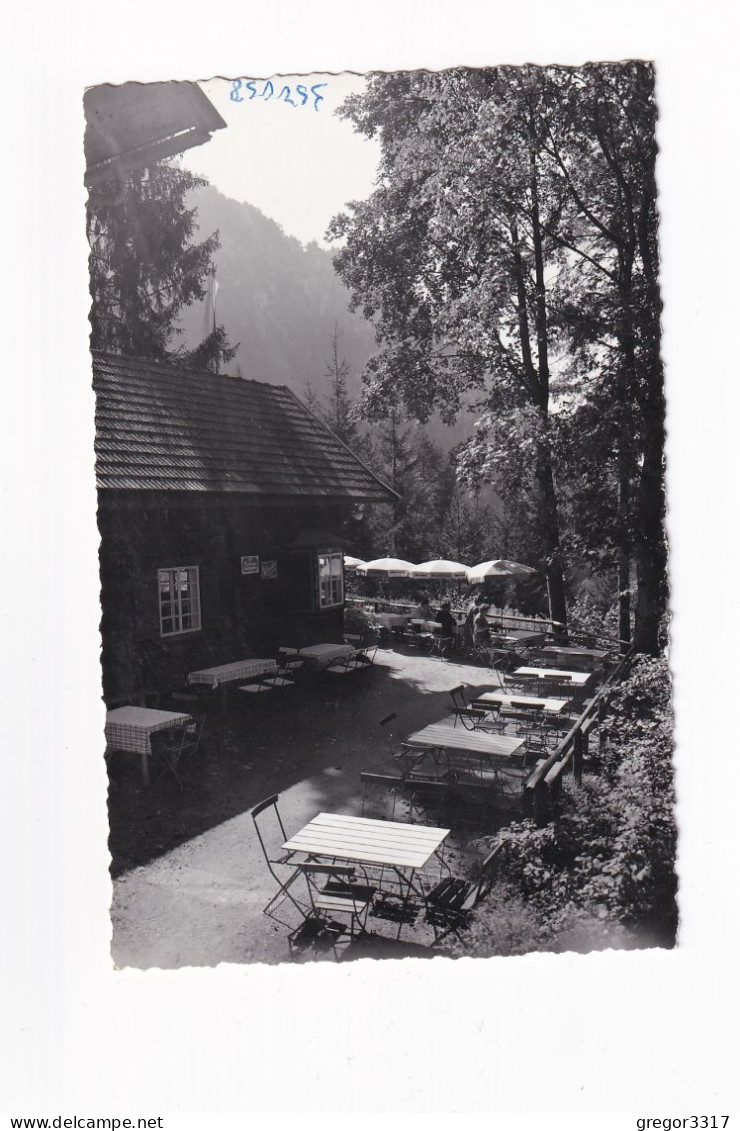 E5623) Bei KUFSTEIN / Tirol - Hütte Gastgarten - Tafeln Bier Werbung Auf Holzhaus Angeschlagen - Kufstein