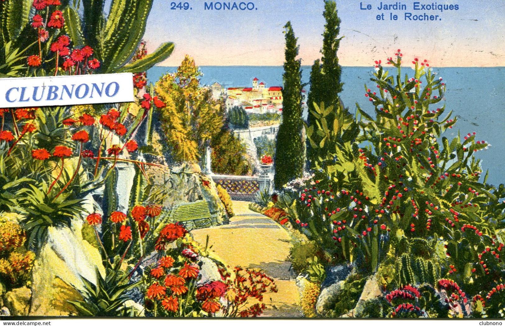 CPA - MONACO - JARDIN EXOTIQUE ET LE ROCHER - Jardín Exótico