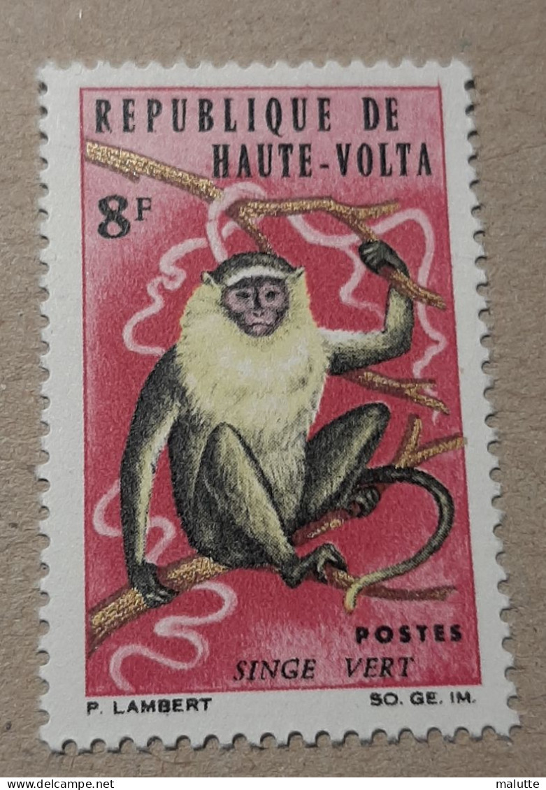 Haute Volta YT 165 ** Animaux Singe - Haute-Volta (1958-1984)