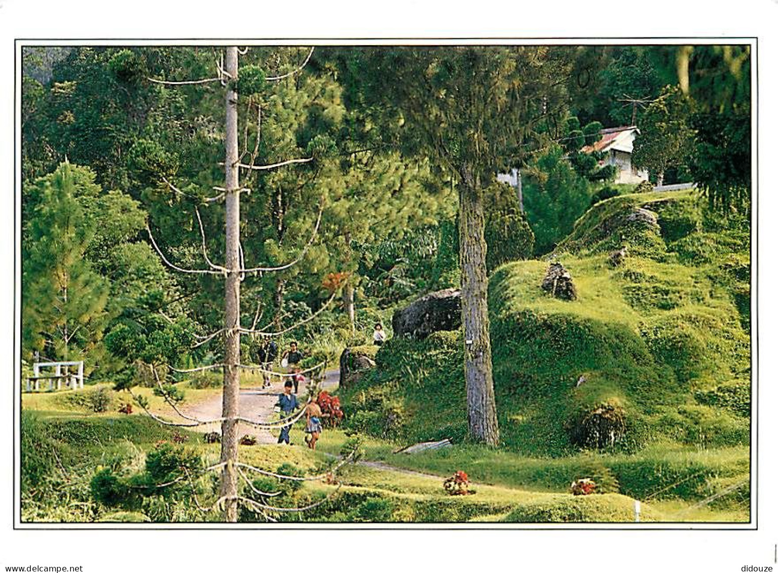 Malaisie - Maxwell Hill - Bukit Larut - The Oldest Hill Resort In The Country. Located 4751 Ft Above Sea Level In Taipin - Malasia