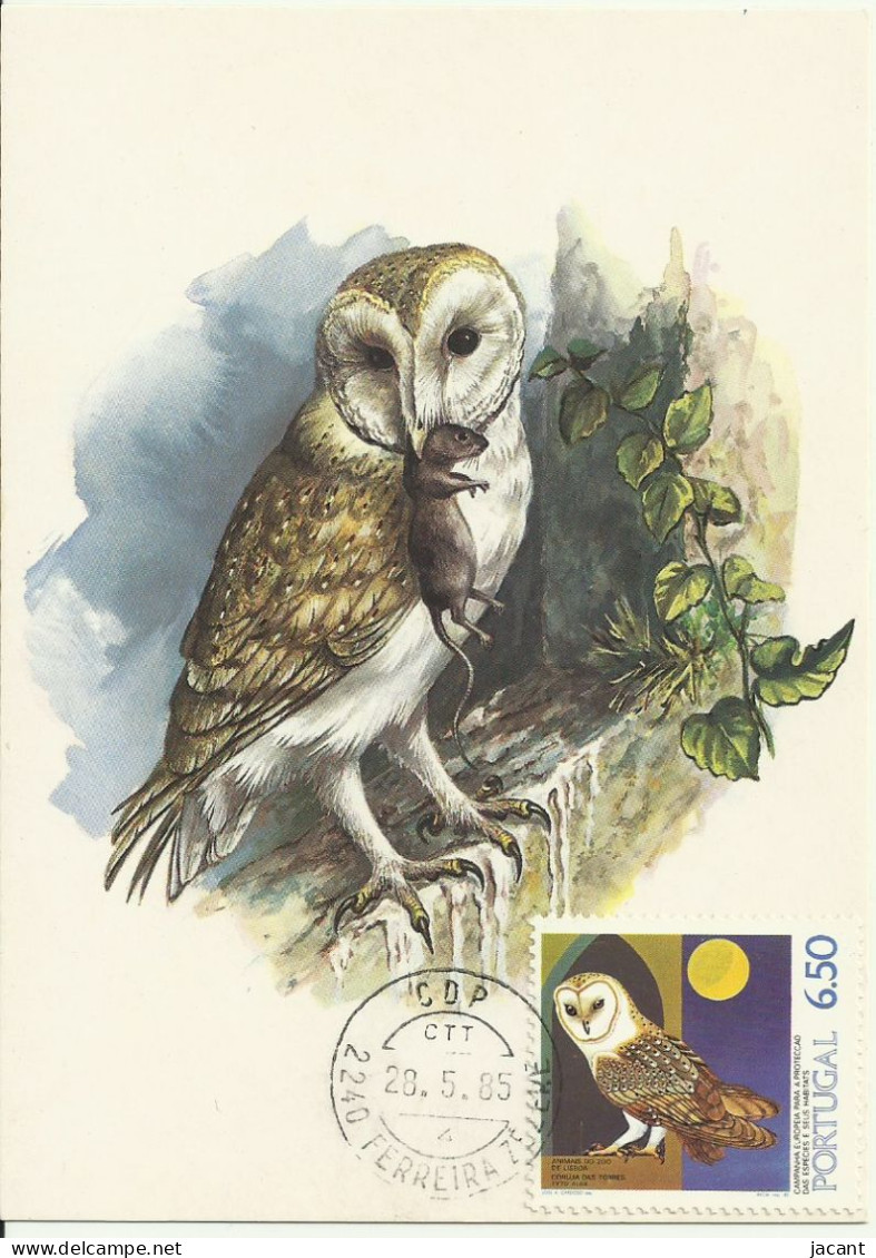 Carte Maximum - Oiseaux - Portugal - Coruja Das Torres - Chouette Effraie - Barn Owl - Tyto Alba - Hiboux & Chouettes