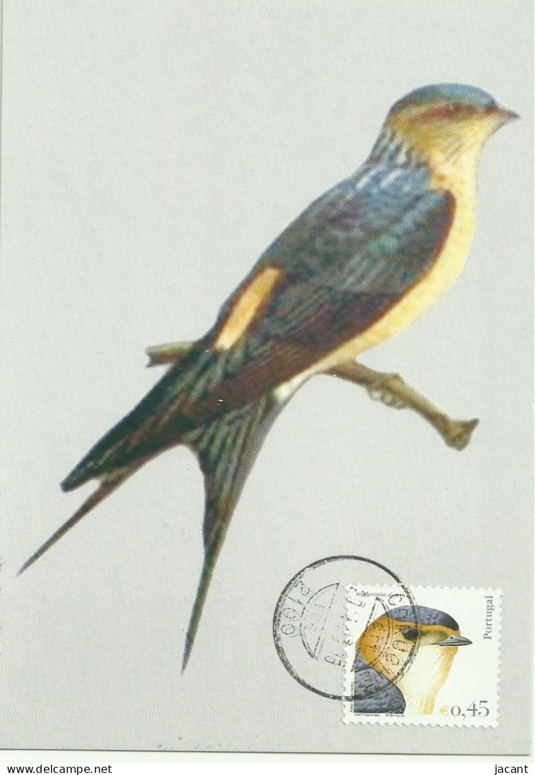 Carte Maximum - Oiseaux - Portugal - Andorinha Daurica - Hirondelle Rousseline - Red-rumped Swallow - Hirundo Daurica - Golondrinas