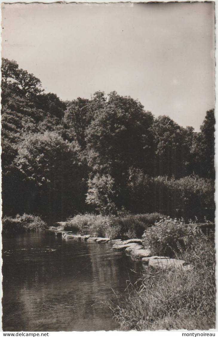 Mayenne :  AMBRIERES Le  GRAND : Le  Passage Des  Pierres - Ambrieres Les Vallees