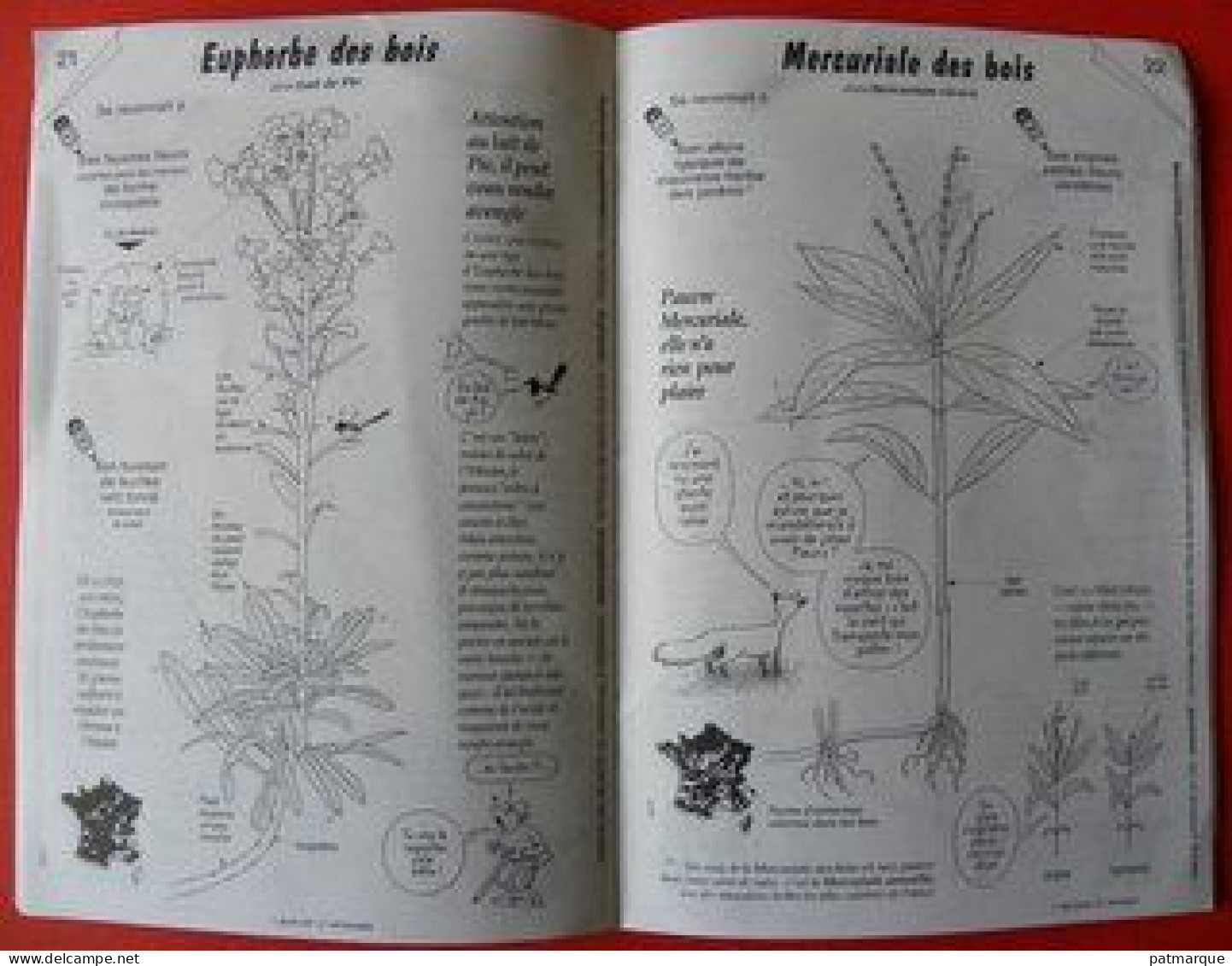 La Hulotte - Le Petit Guide Des Fleurs Des Bois - Jardinería