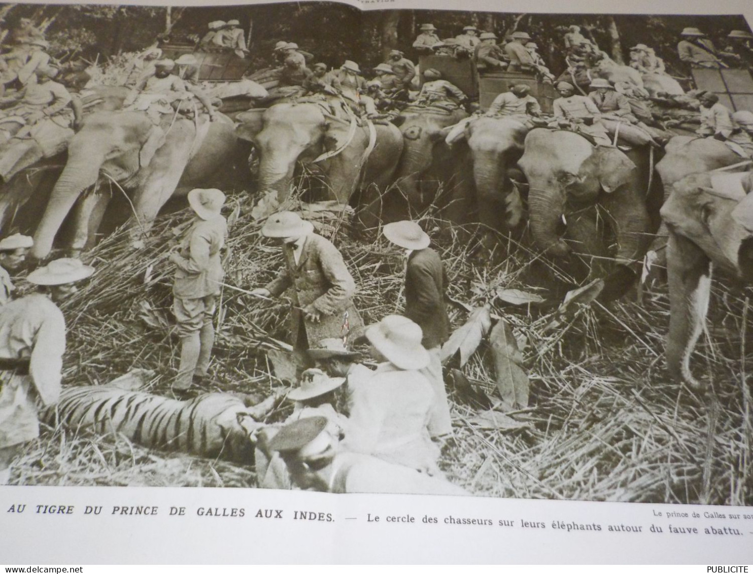 PHOTO CHASSE AU TIGRE DU PRINCE DE GALLES 1922 - Non Classés