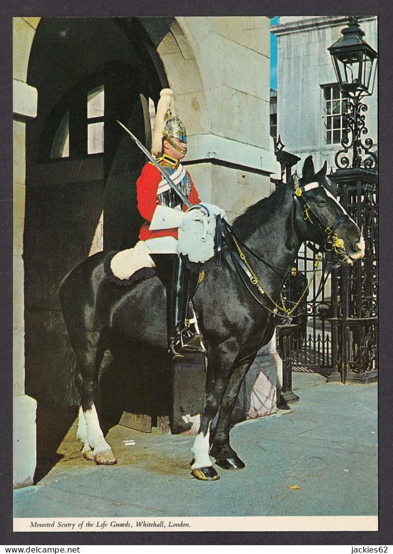 110956/ WESTMINSTER, Whitehall, Mounted Sentry Of The Life Guards - Londres – Suburbios