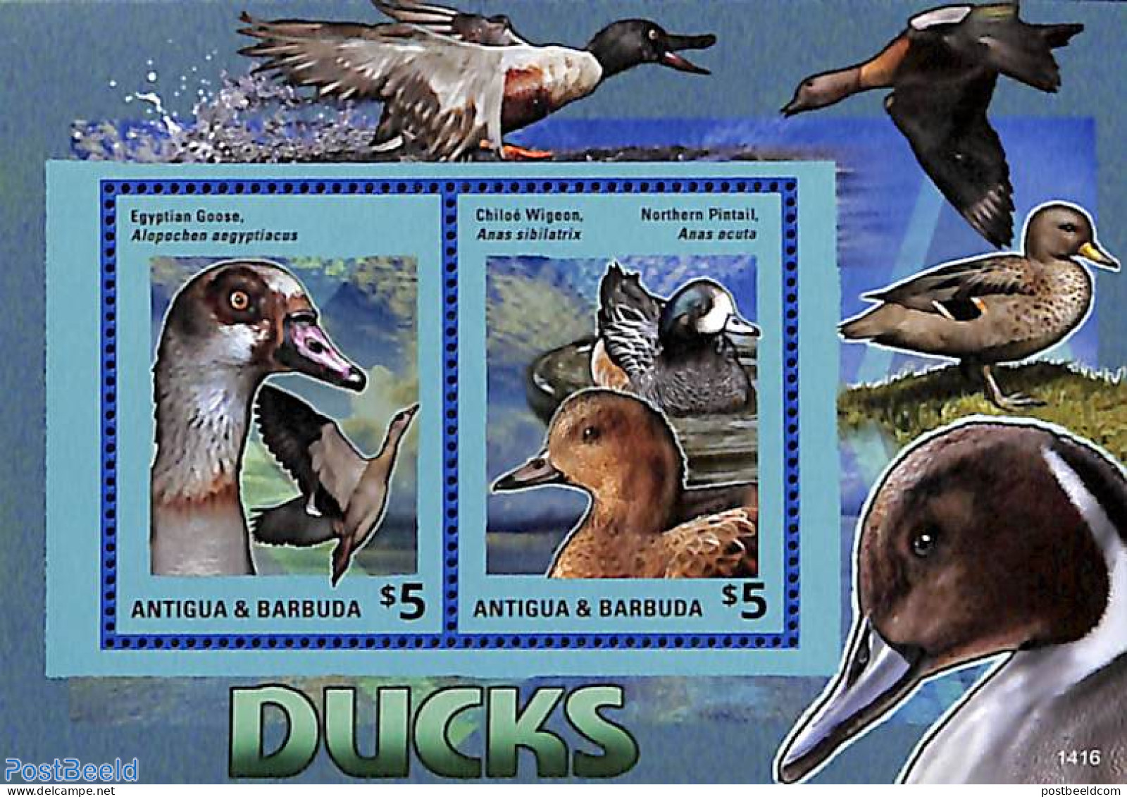 Antigua & Barbuda 2014 Ducks 2v M/s, Mint NH, Nature - Birds - Ducks - Antigua Y Barbuda (1981-...)