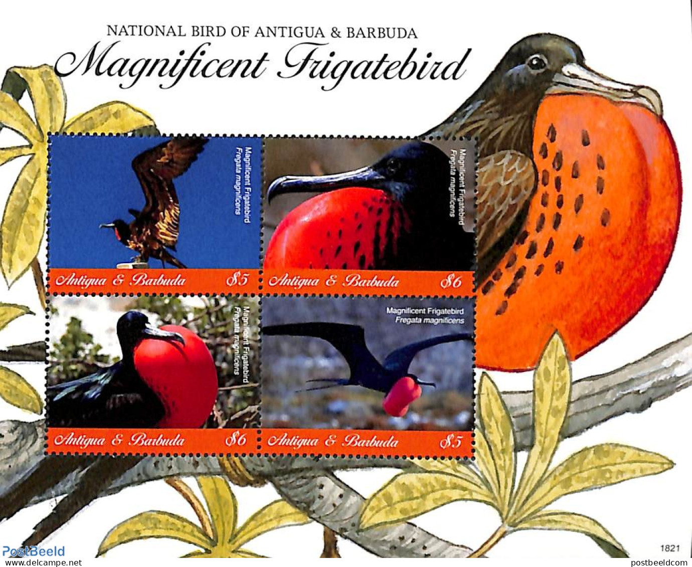 Antigua & Barbuda 2018 Magnificent Frigatebird 4v M/s, Mint NH, Nature - Birds - Antigua Y Barbuda (1981-...)