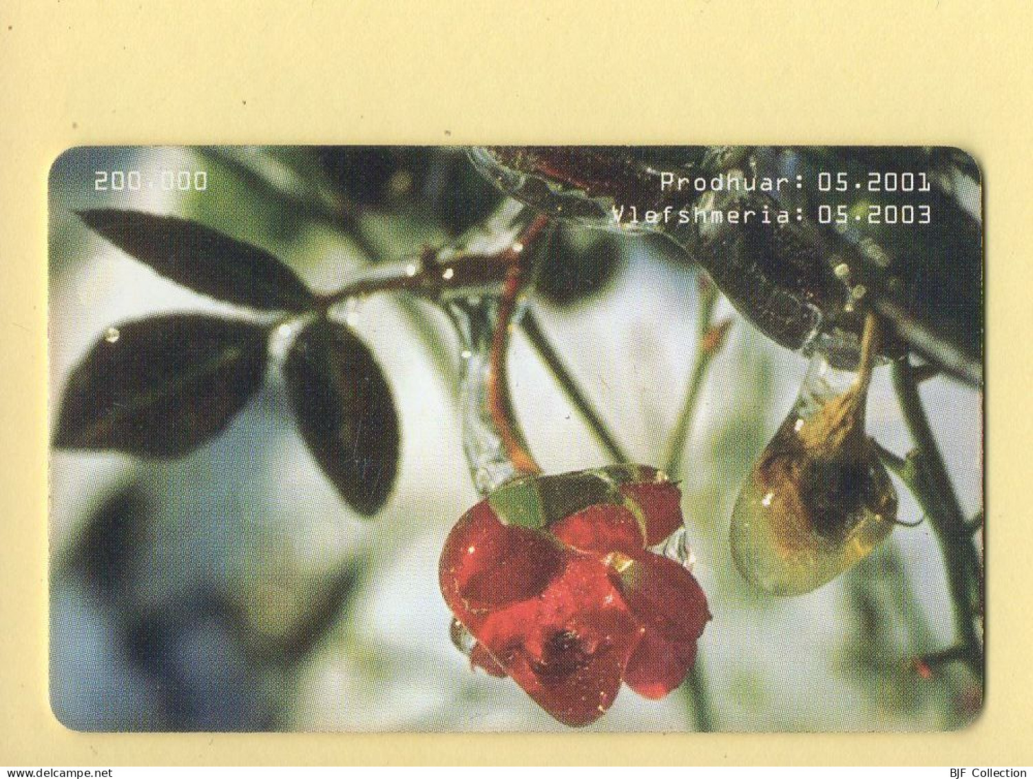 Télécarte : Albanie : Fleurs / Série 0504 034373 - Albanie