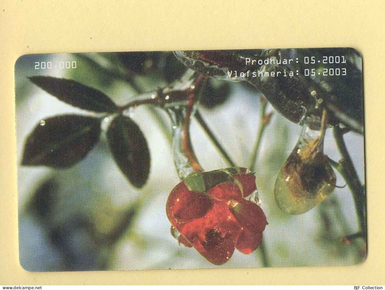 Télécarte : Albanie : Fleurs / Série 0503 888430 - Albania