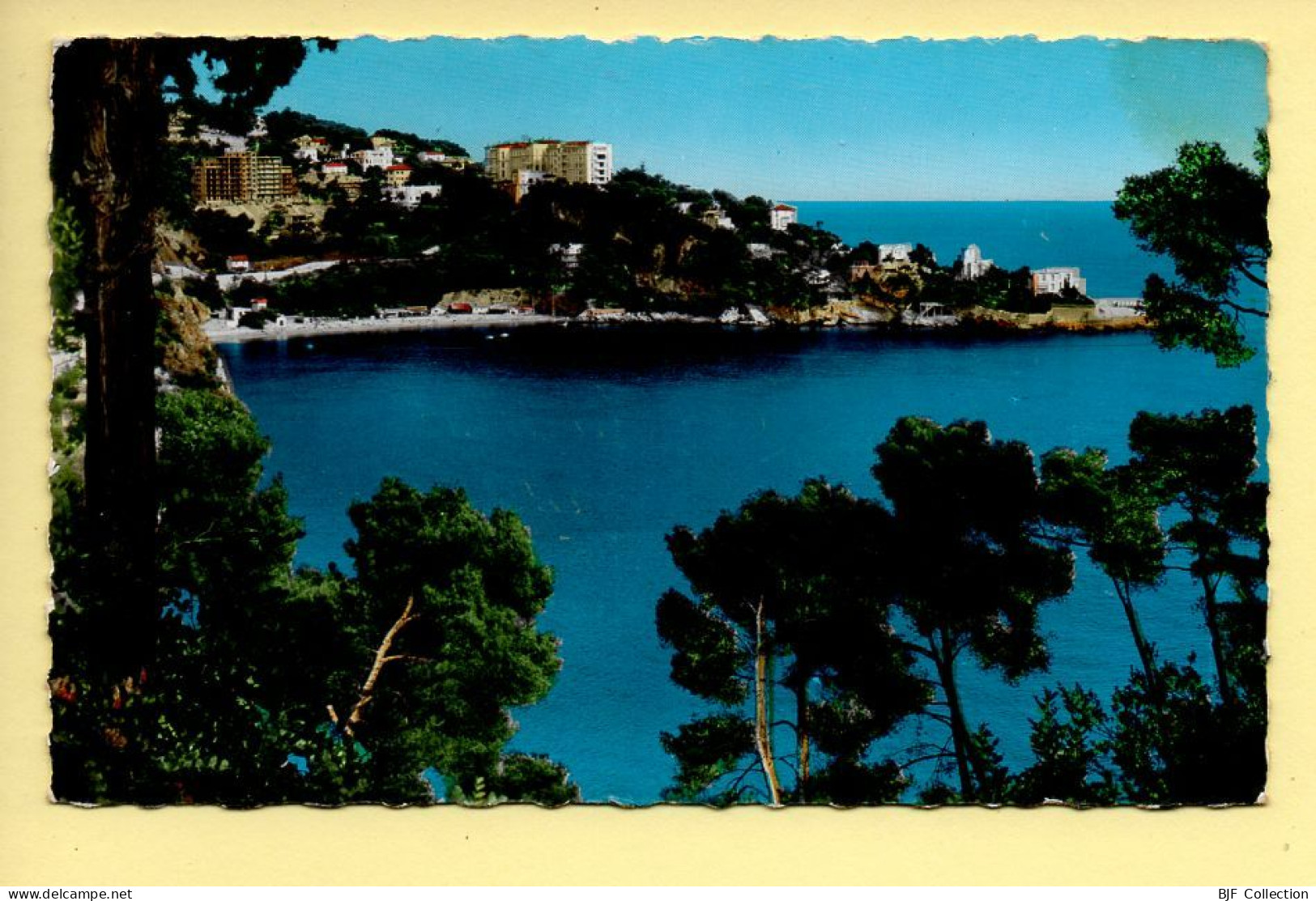 06. CAP D'AIL – Vue Sur Le Cap / CPSM (voir Scan Recto/verso) - Cap-d'Ail