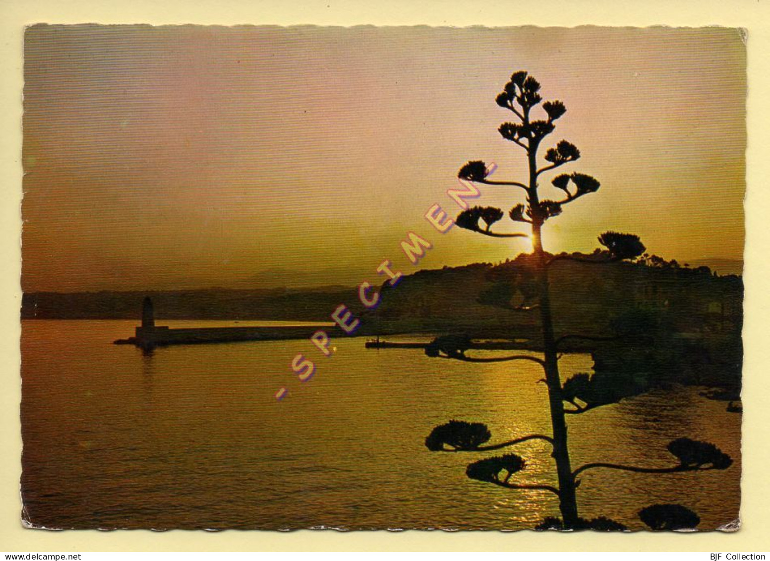 06. NICE - Coucher De Soleil Sur Le Port Et La Colline Du Château (Ed. La Cigogne) (voir Scan Recto/verso) - Nice Bij Nacht