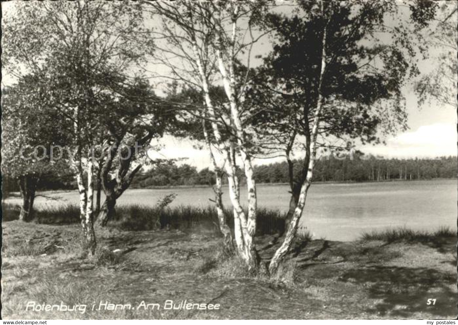 72315279 Rotenburg Wuemme Am Bullensee Rotenburg - Rotenburg