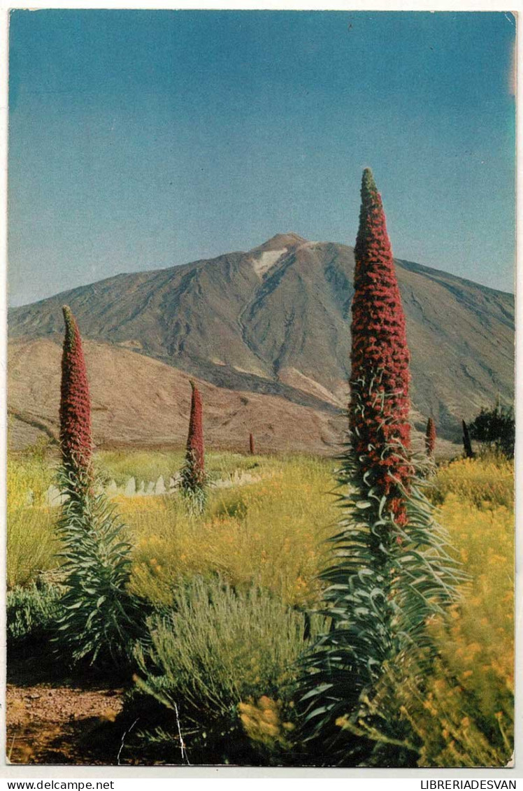 Postal Canarias. Tenerife. El Teide No. 106 - Other & Unclassified