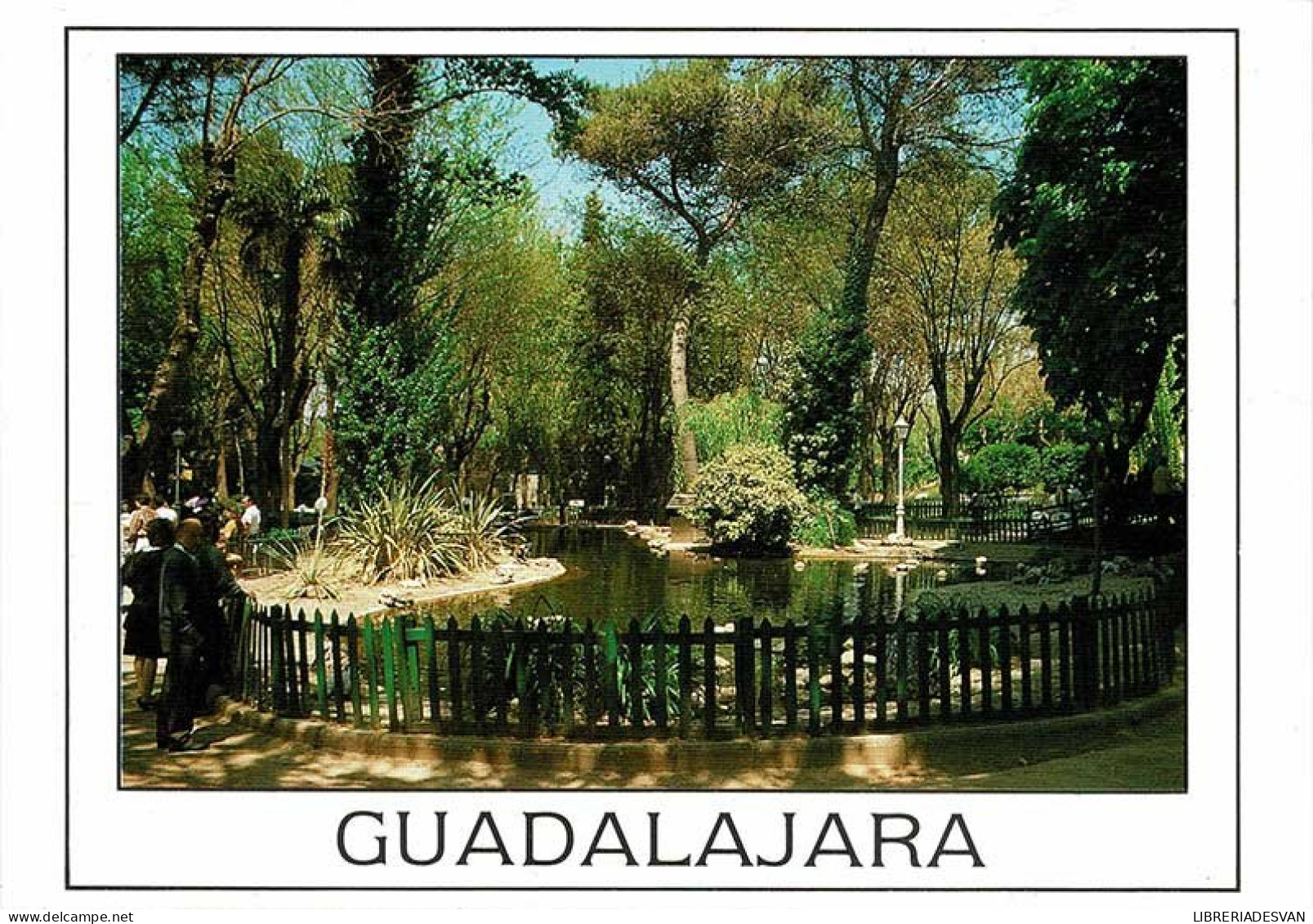 Postal Guadalajara. Parque De San Roque. Estanque No. 10 - Autres & Non Classés