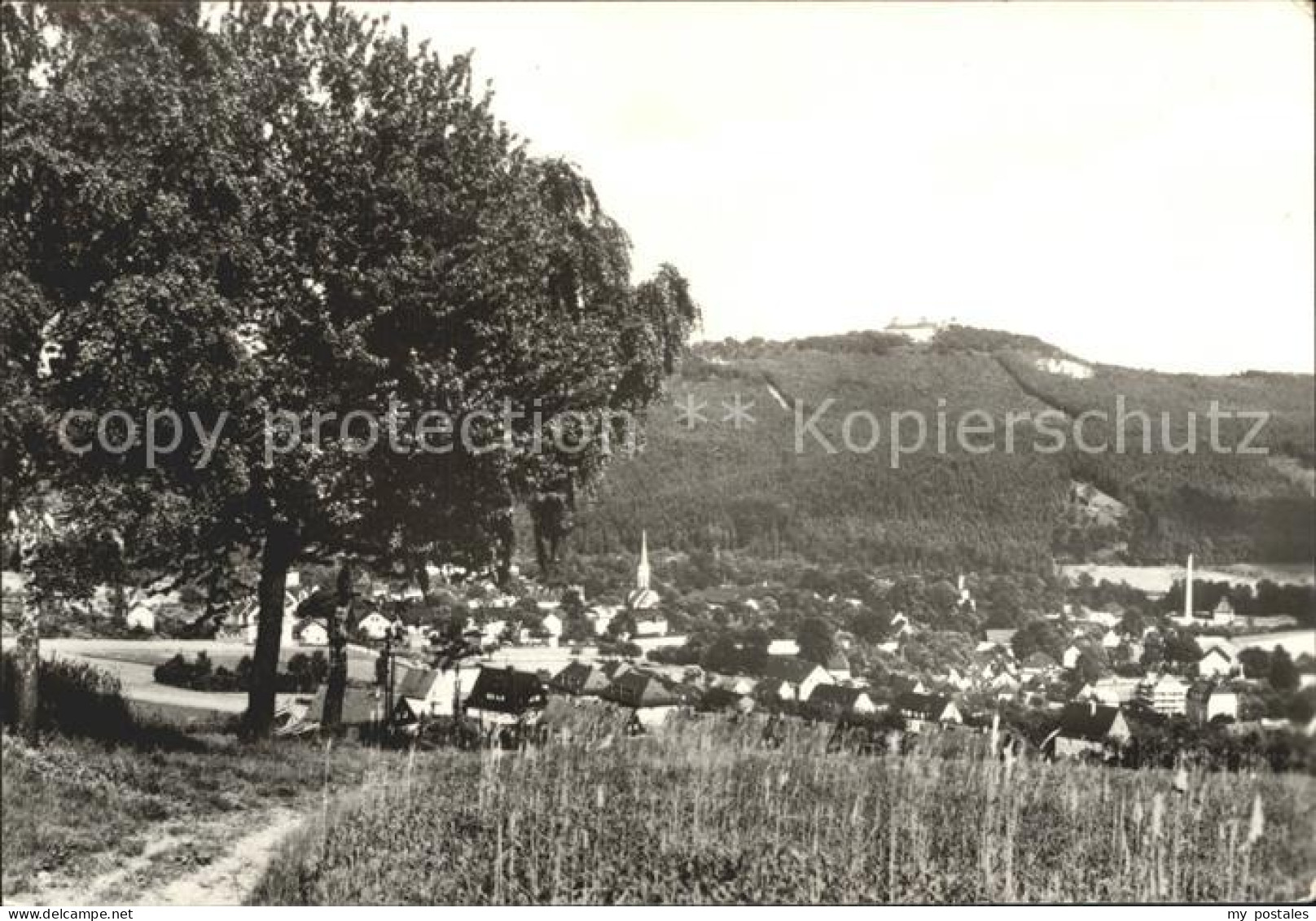 72313048 Erdmannsdorf Augustusburg Panorama Mit Blick Zur Augustusburg Erdmannsd - Augustusburg