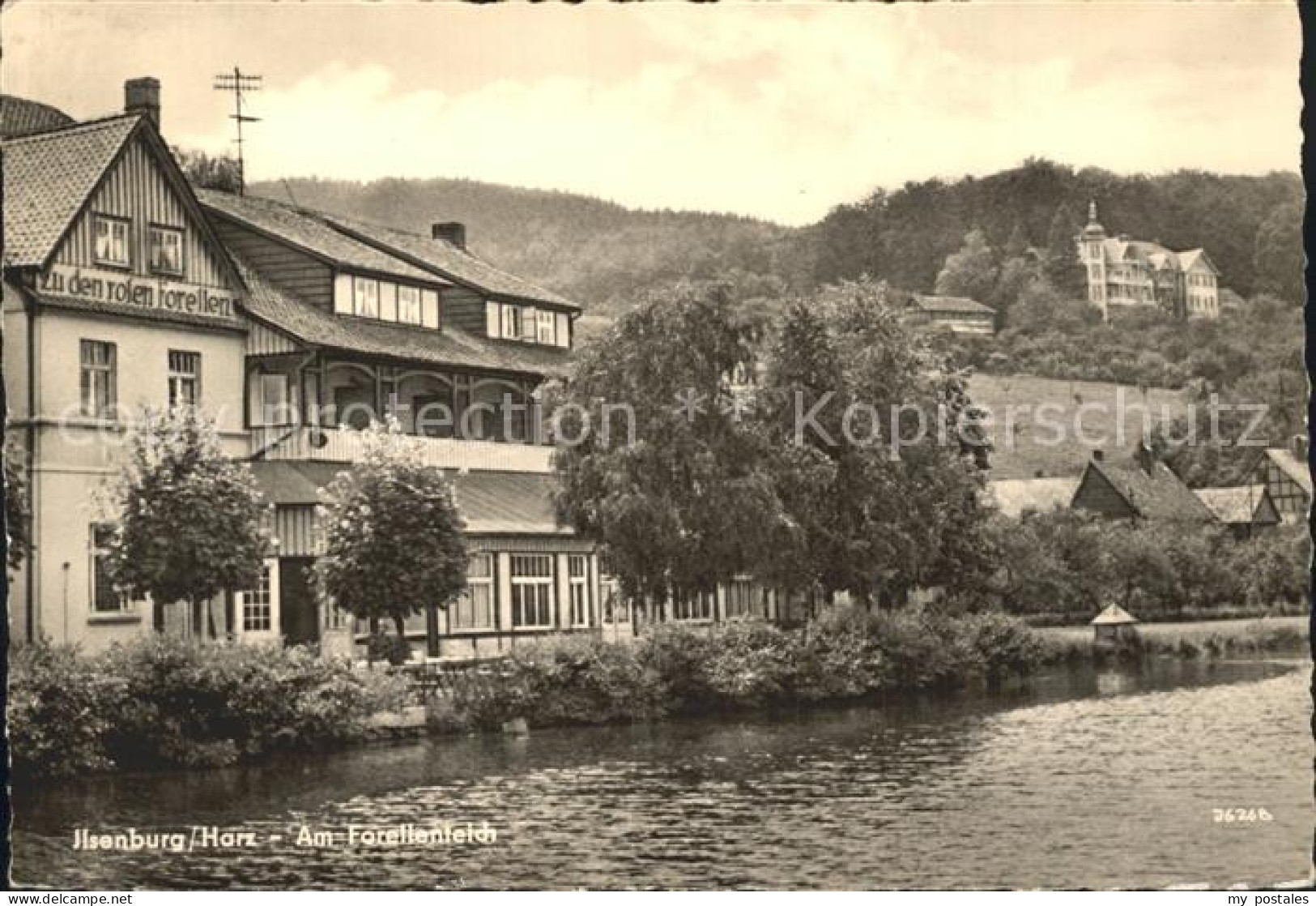 72313046 Ilsenburg Harz Forellenteich Gaststaette Ilsenburg - Ilsenburg