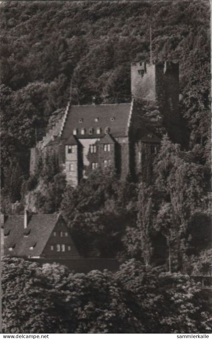 41672 - Miltenberg - Blick Aufs Schloss - Ca. 1960 - Miltenberg A. Main