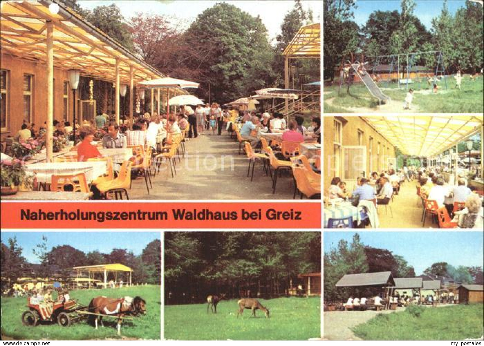 72310590 Waldhaus Greiz Naherholungszentrum Terrasse Spielplatz Ponyfahrt Wildge - Greiz