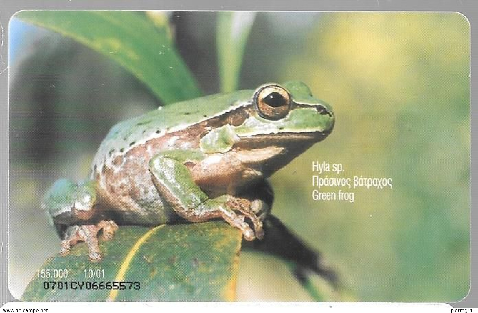 CARTE-PUCE-Gem6-CHYPRE3£-10/01-GRENOUILLE VERTE--TBE- - Vissen