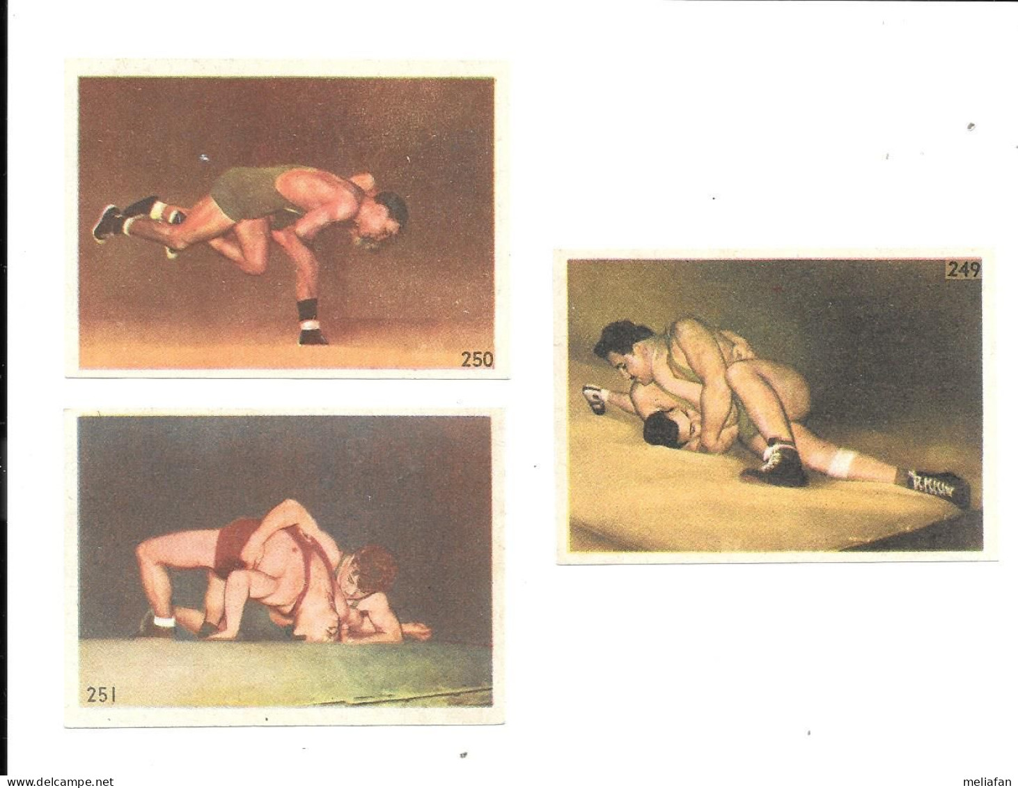 GF2392 - IMAGES DOCKS BOURGUIGNONS FRANC COMTOIS - LUTTE LIBRE - LUTTE GRECO ROMAINE - Trading Cards