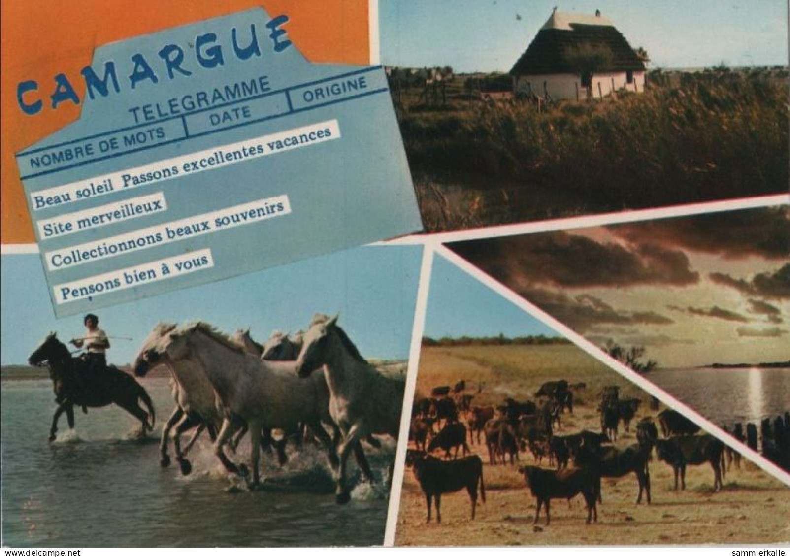 105852 - Frankreich - Camargue - Ca. 1980 - Autres
