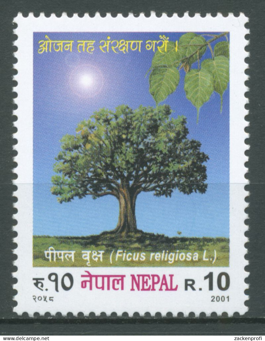 Nepal 2001 Pflanzen Bäume Bodhibaum 736 Postfrisch - Nepal