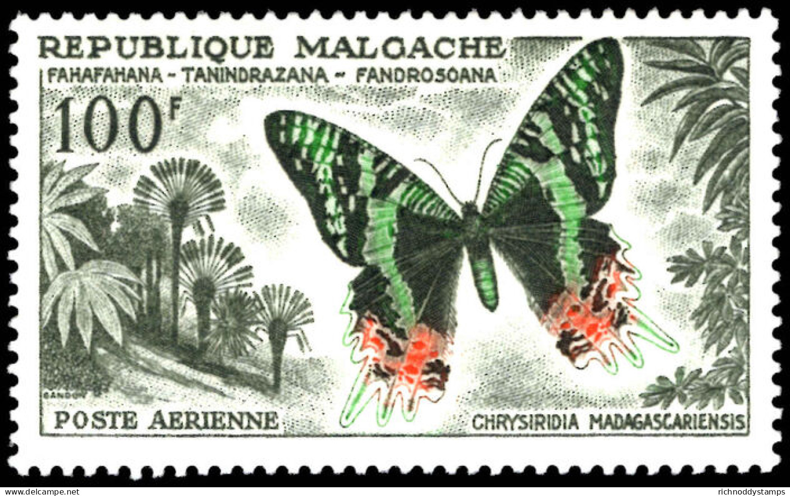 Madagascar 1960 100f Butterfly Unmounted Mint. - Ongebruikt