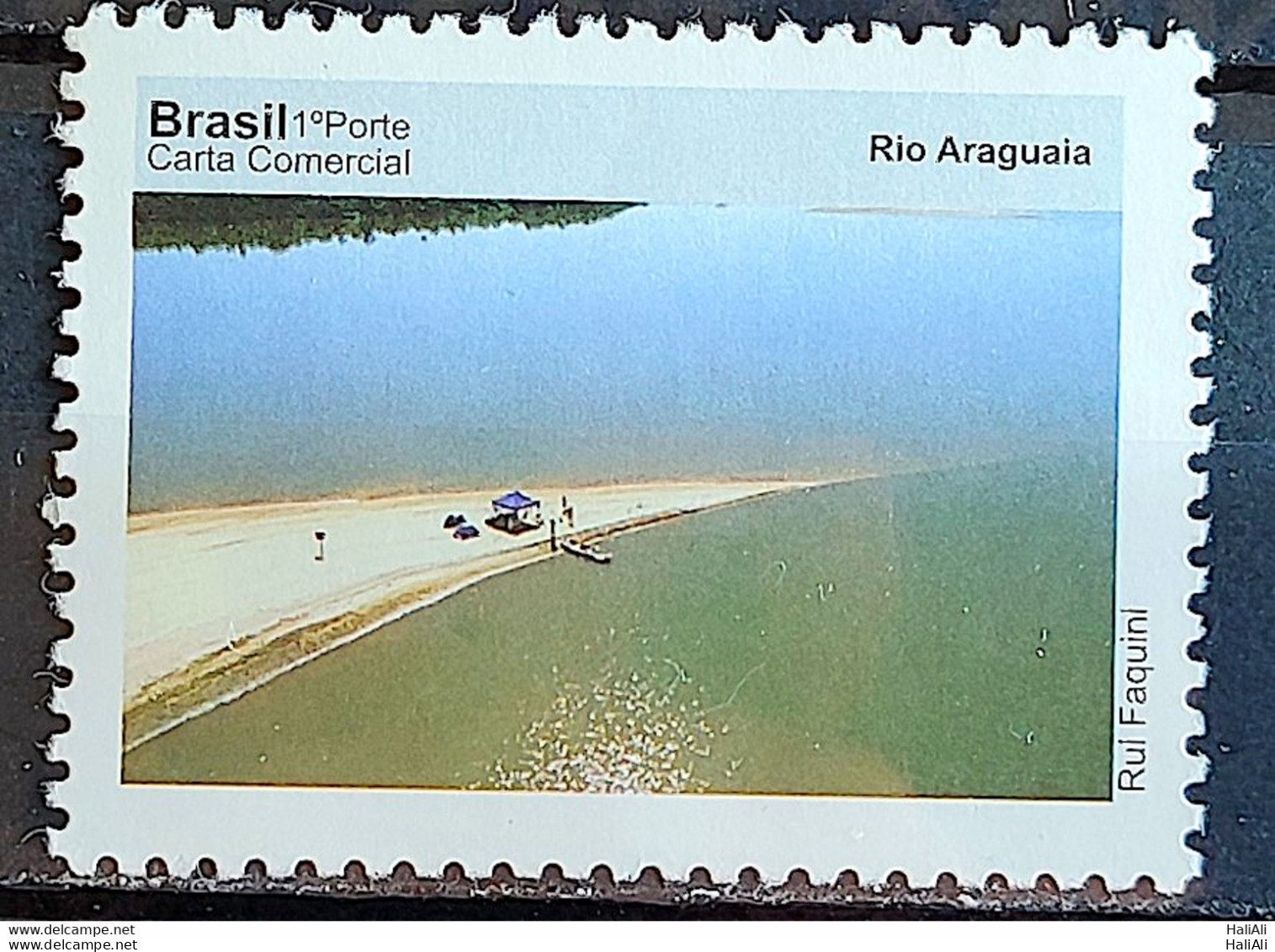 C 3070 Brazil Depersonalized Stamp Tourism Beauties Of Goias 2010 River Araguaia - Personalisiert