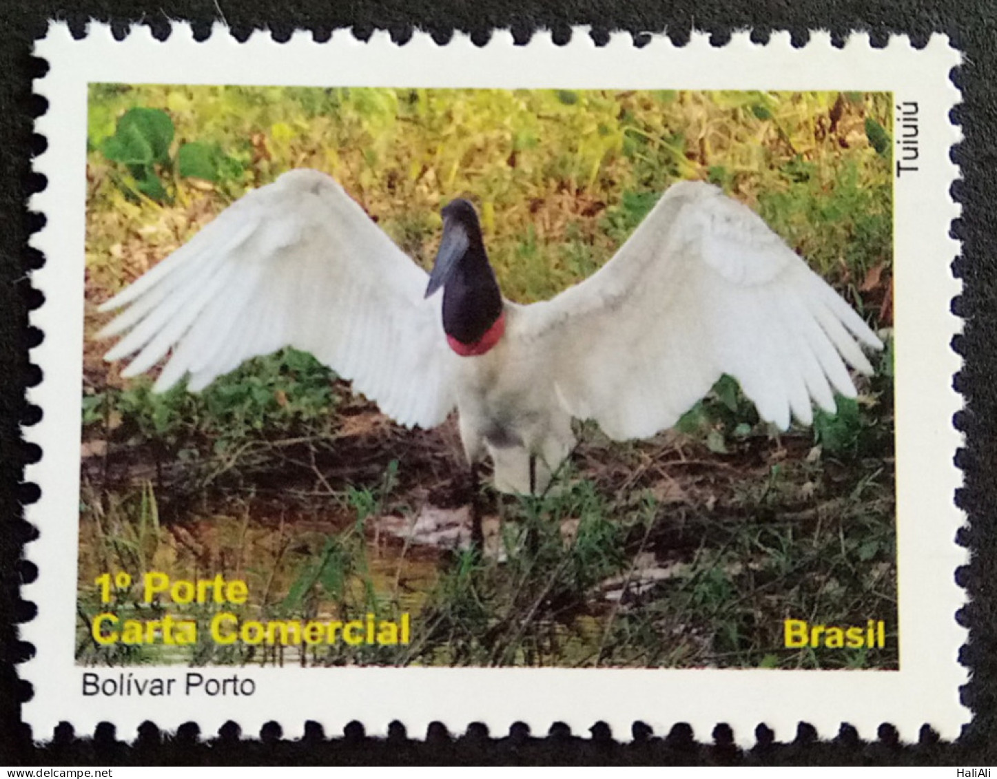 C 3009 Brazil Depersonalized Stamp Tourism Pantanal 2010 Fauna Bird Tuiuiu Fauna - Personalized Stamps